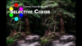The Power of the Selective Color Adjustment in Photoshop