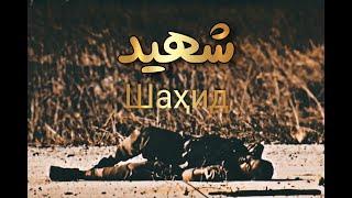 شهید | رسانه توحید ᴴᴰ