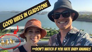 GOOD VIBES IN GLADSTONE - Travel Vlog Australia