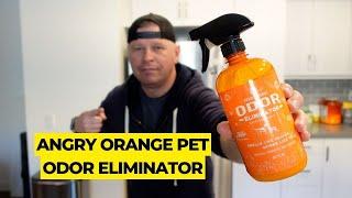 ANGRY ORANGE Pet Odor Eliminator Review