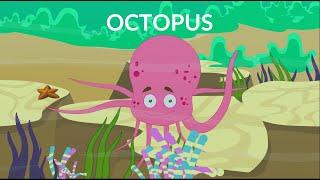 Learn about Octopus  | Body Parts and Structure | Video for Kids