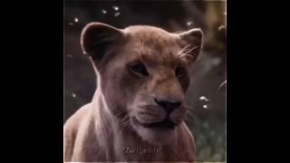 The Lion king | Nala edit | #fy #foryou #shorts #lion #movie