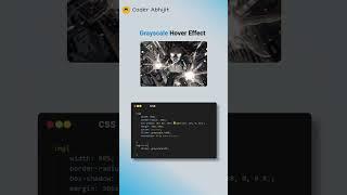 CSS Grayscale Hover Effect #shots #shortvideo #html #css