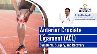 Anterior Cruciate Ligament (ACL): Symptoms, Surgery, and Recovery |  Yashoda Hospitals Hyderabad