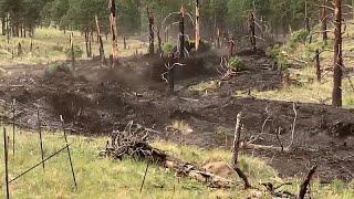 Flash flood gushes down Pipeline Fire burn scar in Arizona