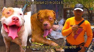Saddar Dogs Market 23-6-2024 Karachi | Rare and Unique Dogs | लड़ने वाली नस्ल के कुत्ते