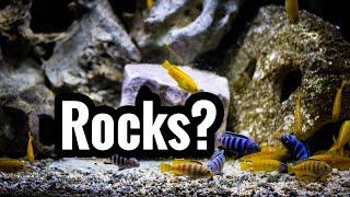 Do African Cichlids Need Rocks? | GIVEAWAY