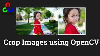 How to Crop Images using OpenCV | Image cropping Python | Computer Vision | Data Magic