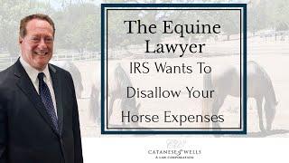 IRS Wants to Disallow Your Horse Expenses – Avoid a Tax Problem