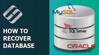 ‍ How to Recover MySQL, MSSql and Oracle Databases in 2021