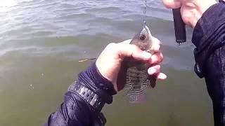 Mancing ikan nila umpan lumut di waduk... strike bertubi - tubi