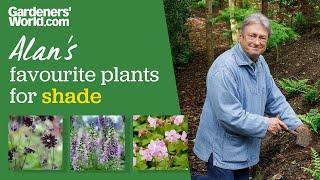 Five plants for shade | Alan's favourites for shady spots