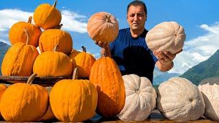 The Most Authentic Pumpkin Pilaf You’ll Ever Taste! 