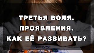 Третья Воля.  Проявления.  Что делать. Центр Архетип