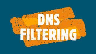 DNS Filtering - 40 second guide to how DNS Filters work from TitanHQ.