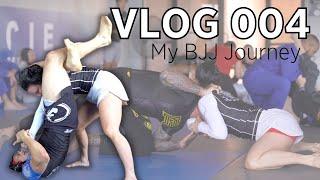 My Jiu Jitsu Journey | Open Mat Rolls