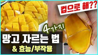 (ENG SUB) 망고 자르는 법 4가지 & 망고의 부작용 [How To Cut Mango] (꼭 알아 두세요!)