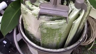 What Backwashing Leaves Behind - How To Clean Your D.E. Pool Filter THE EASY WAY!!!