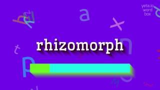 How to say "rhizomorph"! (High Quality Voices)