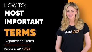 Wie findet man die wichtigsten Begriffe für Amazon I AMALYZE Wichtige Begriffe Tool Tutorial