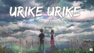 Urike Urike  ( Slowed + Reverb ) || NB VIDS