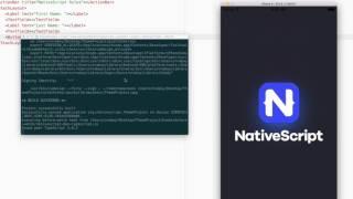 Theming A NativeScript Angular 2 Mobile Application