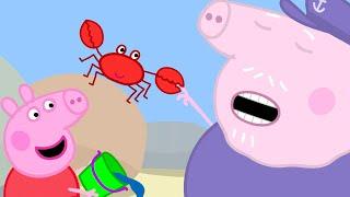 Piscine Fra Gli Scogli | Peppa Pig Italiano Episodi completi