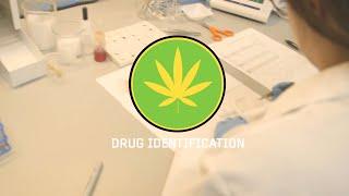 Inside the Crime Lab: Drug Identification