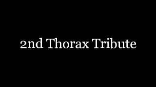 MLP:FIM 2nd Thorax Tribute - Change your life