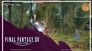 Final Fantasy XIV - final fantasy 14 lodestone