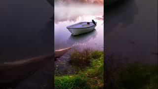 Beauty Full Video l From Muhammad Muaz Offical l Watch full#Short