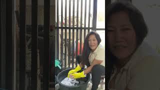 Steve&Tess LifeInUSA is live! Washing clothes by hand