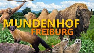 Mundenhof in Freiburg - The free XXL zoo | Zoo impression