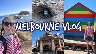 MELBOURNE SOLO BACKPACKER VLOG 2 | St Kilda, Brighton, kangaroos, and PENGUINS!