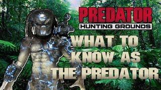 Predator Hunting Grounds What to Know as The Predator