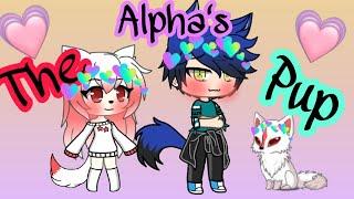 The Alpha's Pup // GLMM // New Intro