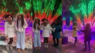 LIGHTSCAPE EVENT AT THE BROOKLYN BOTANICAL GARDEN NYC VLOG. SPECTACULAR LIGHT SHOW.