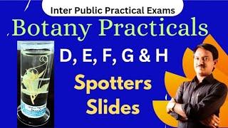 Botany Practicals | Inter Public Practical Exams | Spotters & Slides