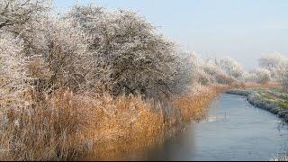 Ralph Vaughan Williams : In the Fen Country. Photographs.