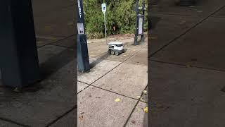 SNEAKY ROBOT: Oscar Yandex delivery robot tries to deliver ice cream #robotics #deliveryrobot #ai