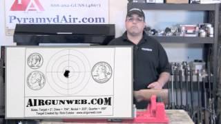 Hatsan Mod 95 in .22 caliber - Airgun Review / Product Review