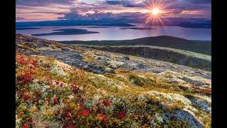 The Kola Peninsula tundra, Russia