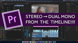 How to separate stereo file to dual mono from the timeline in Premiere