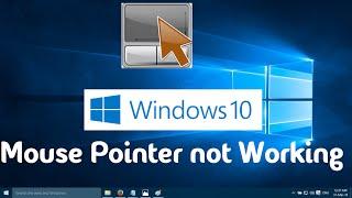 Mouse Pointer not Working in Windows 10 (One Simple Solution)