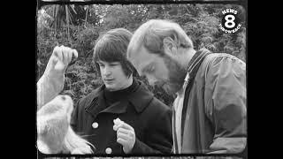 The Beach Boys Pet Sounds Shoot at San Diego Zoo 1966