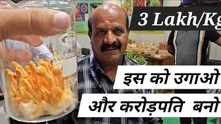 3 Lakh /KG || इस को उगा कर किसान 1 साल मे करोडपति !