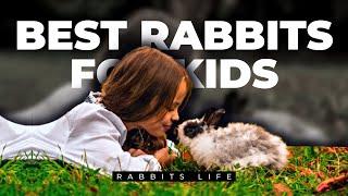 Hop into Fun: The Best Pet Rabbit Breeds for Kids