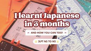 I Taught Myself Japanese in 3 Months  | N5 to N3 LEVEL 