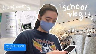 IB school vlog | study diaries 