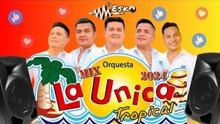 Mix La Unica Tropical - 2024 - ( Partidos en Dos , Si Esta Casa Hablara , Asesina y mas ) - Dj Esko